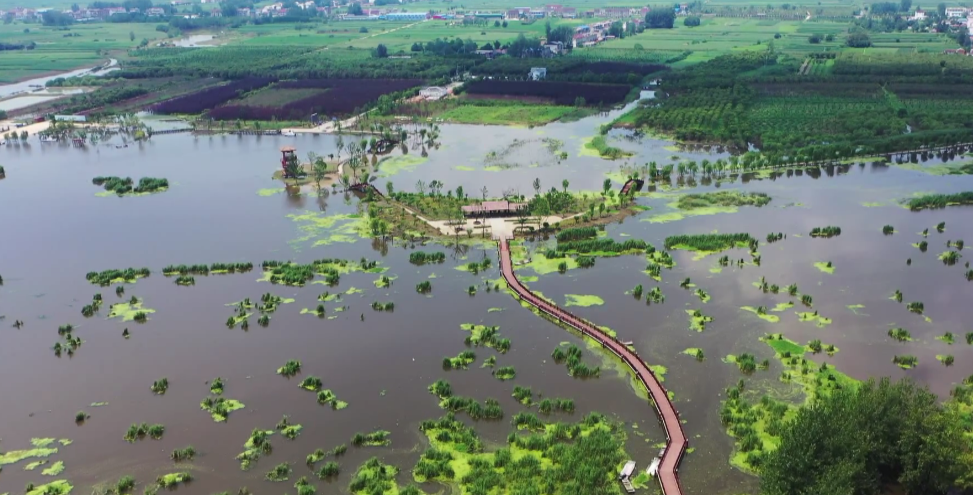 365bet体育存款_365充值真人注册_我和大佬的365天第三季免费看石龙湖